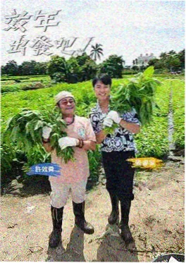 极限挑战10